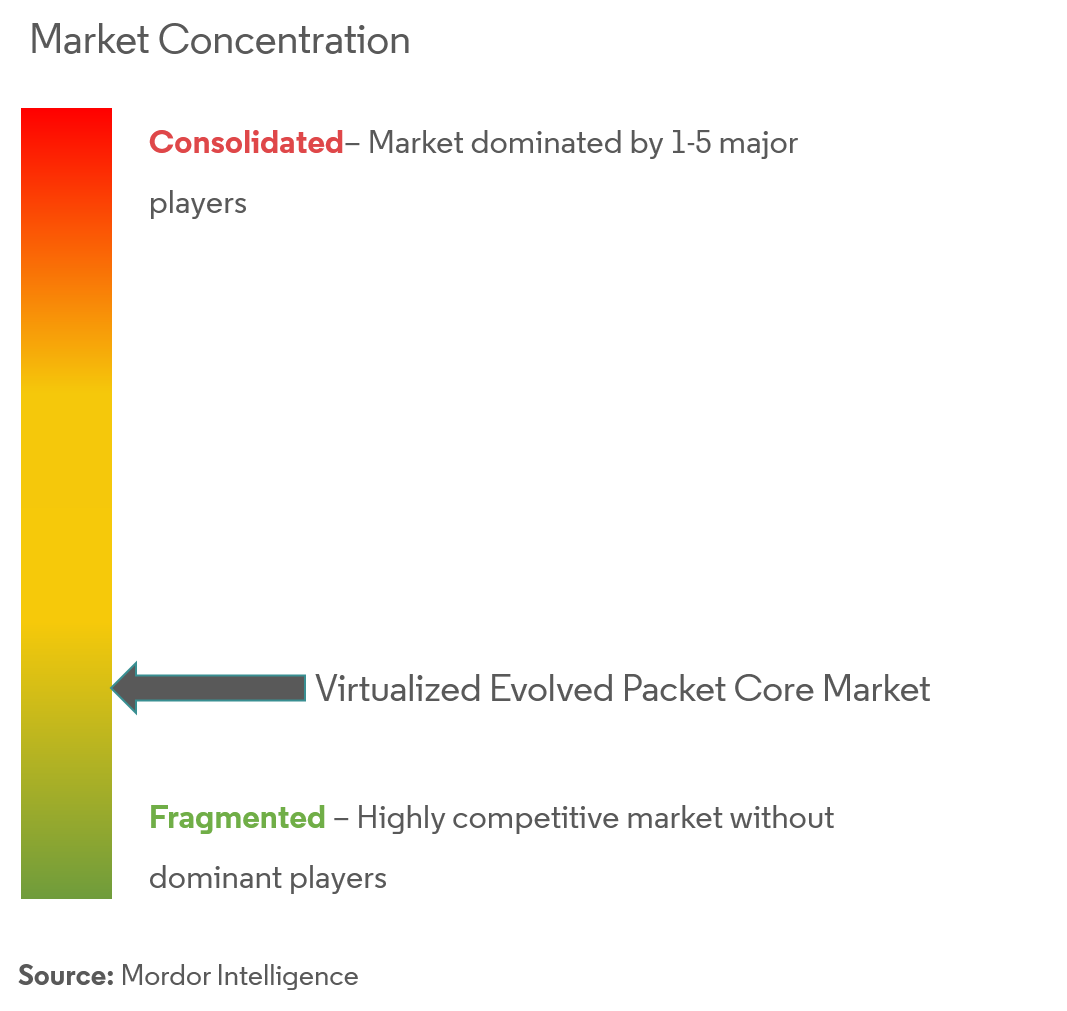 Virtualized Evolved Packet Core Market  Concentration